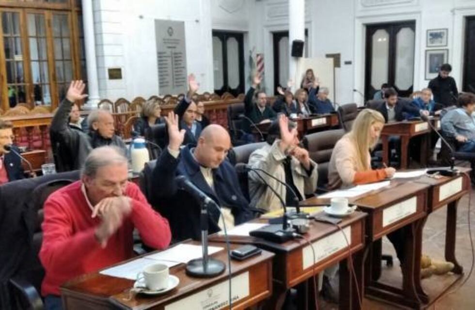 El Concejo aprobó por mayoría el pedido de licencia de Passaglia