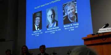 Jeffrey C\u002E Hall, Michael Rosbash y Michael W\u002E Young, ganadores del premio Nobel\u002E