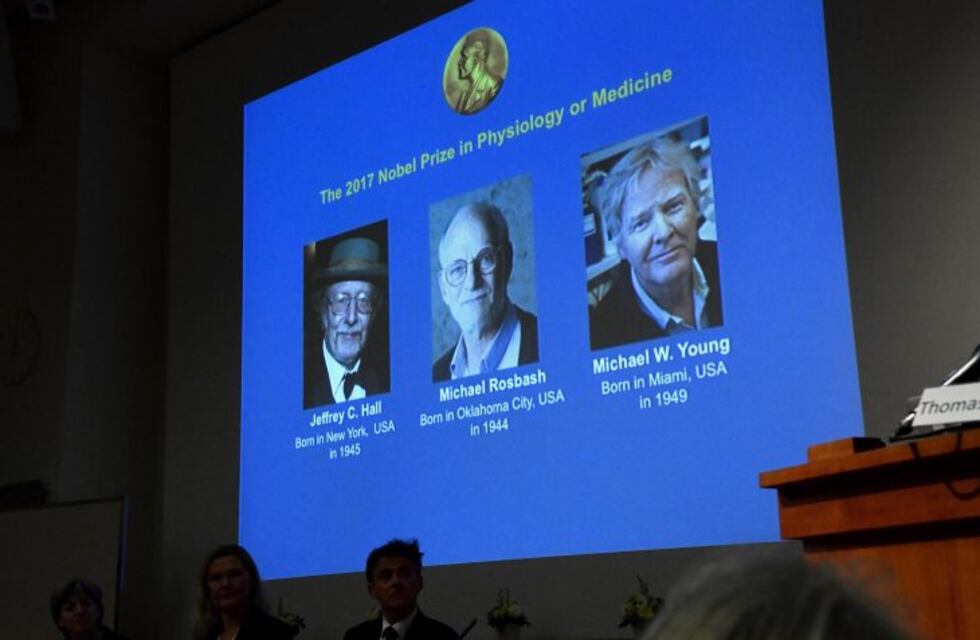 Tres estadounidenses ganan el Nobel de Medicina por sus descubrimientos sobre el "reloj biológico"