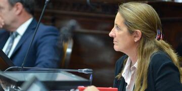 Diputada Claudia Najul.