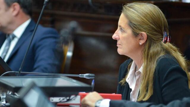 Diputada Claudia Najul.