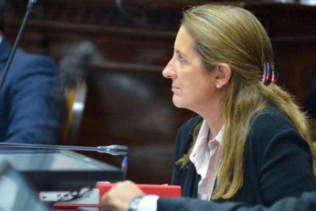 Diputada Claudia Najul.