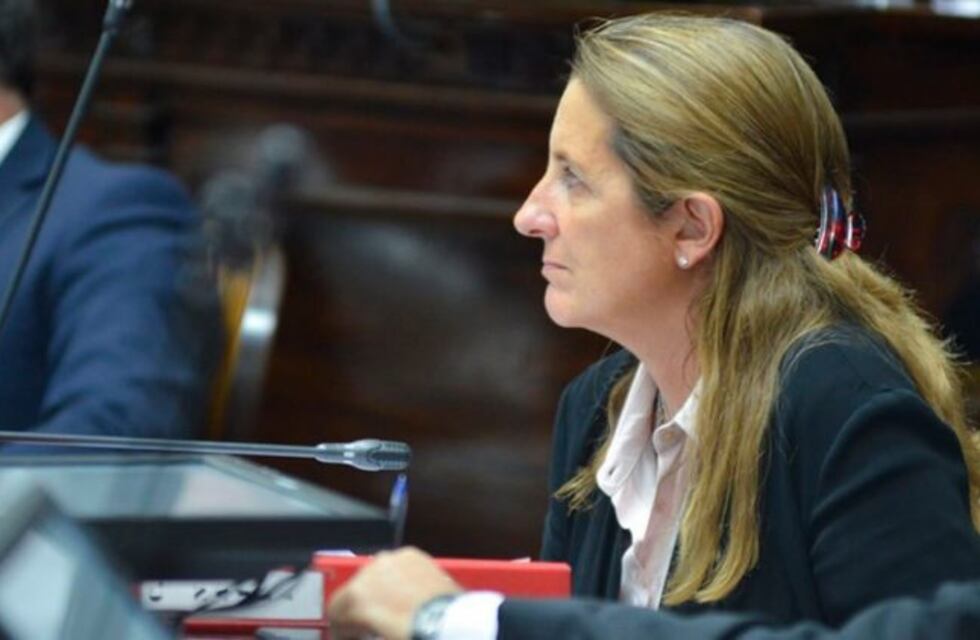 “Luis Lobos es y será el ladrón que devolvió lo robado” el fuerte descargo de Claudia Najul