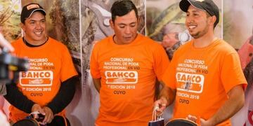 Jonathan Agüero, Ángel Sáez y Cristian Agüero, los mejores podadores del país\u002E