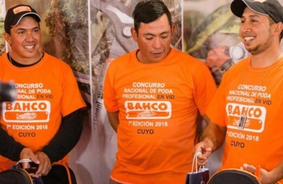 Tres mendocinos, los mejores podadores de vid del país