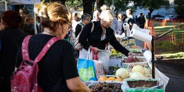 AME1686\u002E BUENOS AIRES (ARGENTINA), 17/04/2019\u002E- Una mujer compra frutas y verduras en una feria comunitaria para combatir la inflación, este miércoles en Buenos Aires (Argentina)\u002E El Gobierno de Argentina lanzó un paquete de medidas, como la suspensión de los \