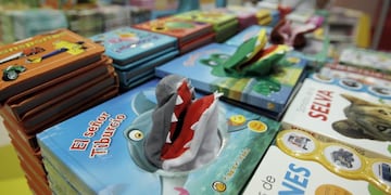 Dos mujeres observan libros infantiles hoy, jueves 19 de abril de 2012, en la 38 Feria Internacional del Libro de Buenos Aires (Argentina)\u002E El escritor mexicano Carlos Fuentes y el uruguayo Eduardo Galeano acaparan la atención del programa de la Feria, que abre hoy sus puertas con menor presencia de países europeos, azotados por la crisis financiera internacional\u002E EFE/Leo La Valle buenos aires 38° Feria Internacional del Libro 2012 vista stand libros visitantes muestra libros infantiles