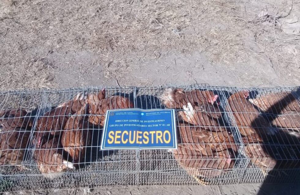 Dos ladrones de gallinas detenidos en Cerrillos