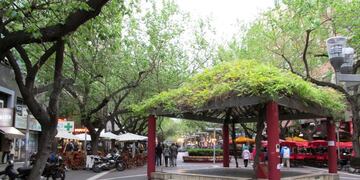 Mendoza, Peatonal\u002E