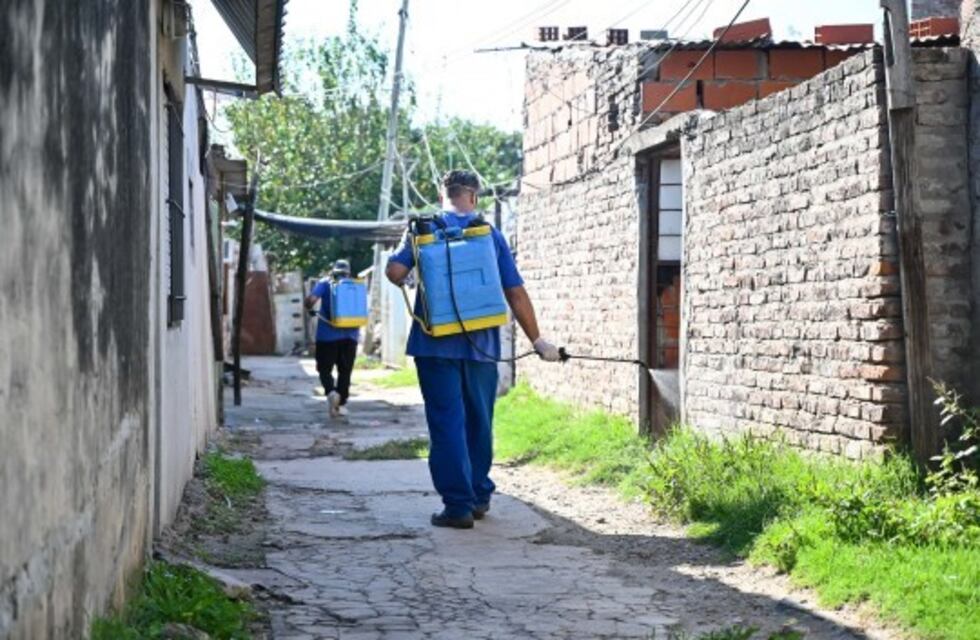 Son 1159 los casos de dengue en rosario y piden continuar con descacharrado