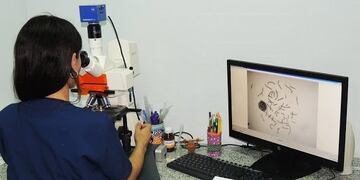 A partir de este domingo los análisis de coronavirus se realizan en el Alta Complejidad