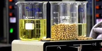 Firman un convenio para reciclar el aceite vegetal utilizado en restaurantes y hoteles paranaenses