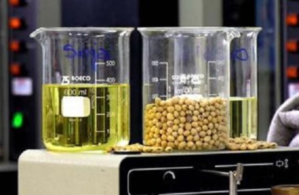 Firman un convenio para reciclar el aceite vegetal utilizado en restaurantes y hoteles paranaenses