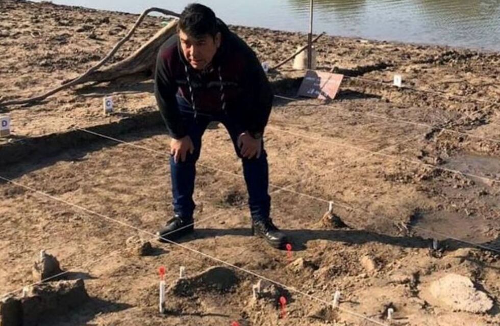 Hallaron restos óseos de una ballena franca austral en un arroyo de Ramallo