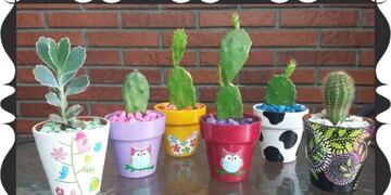 mate autolimpiante, en varios colores