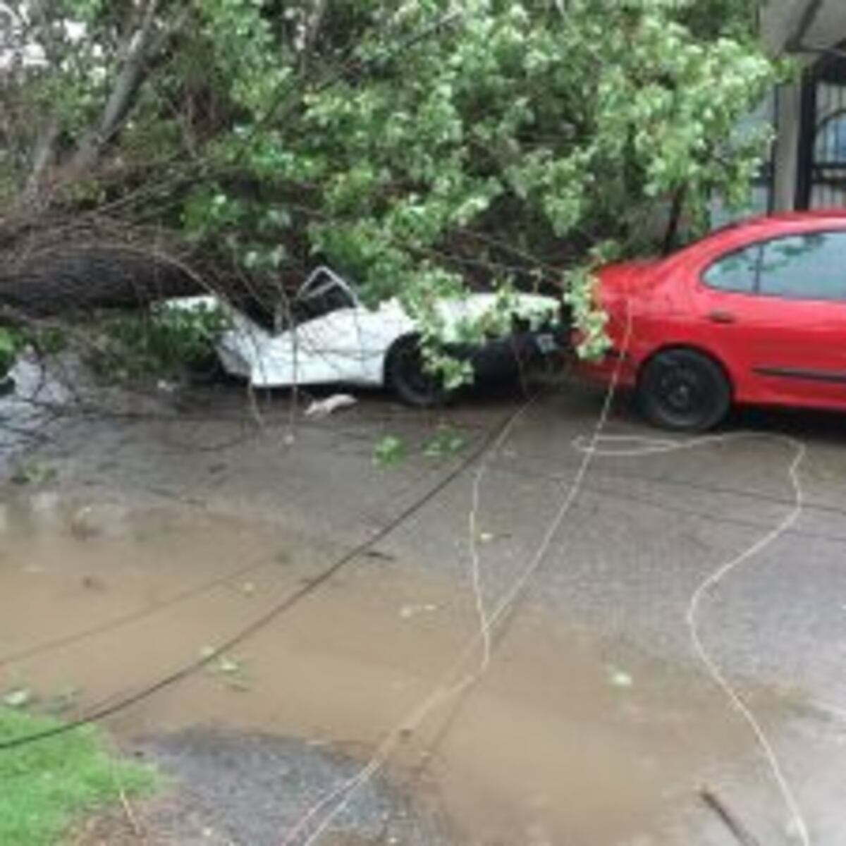 El conductor logru00f3 salir del vehu00edculo y fue asistido por personal del Sies en zona norte.