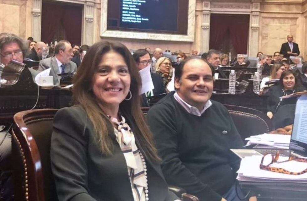 Ginocchio y Saadi presentaron un proyecto que se llama: "Crecimiento armónico de la Nación"