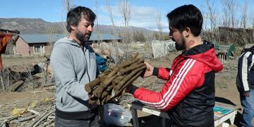 15 mil estacas de Álamo para vecinos de El Calafate