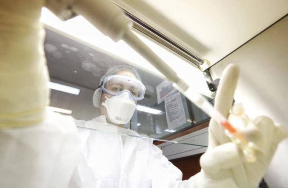 Formosa tiene la tecnología para detectar coronavirus pero Nación no envía los reactivos