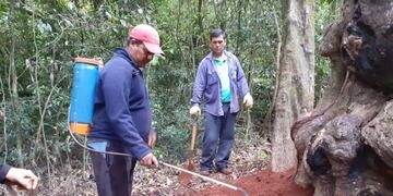 Se incendió la Grapa Milenaria\u002E