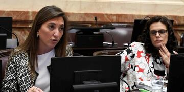 Eugenia Catalfamo, senadora nacional por San Luis\u002E