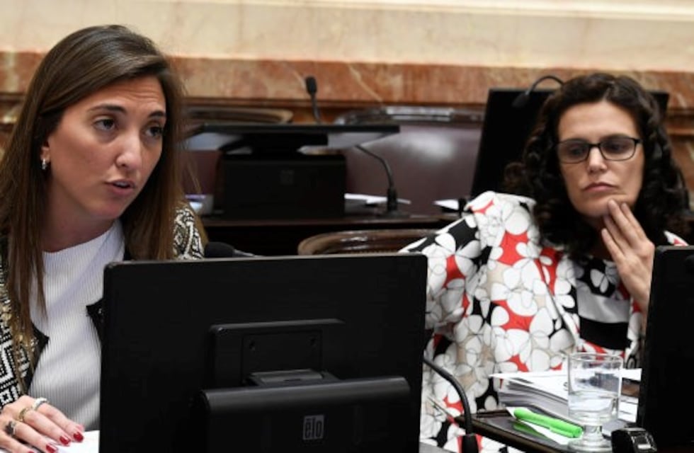 Despenalización del aborto: un embarazo complica la asistencia de una senadora puntana