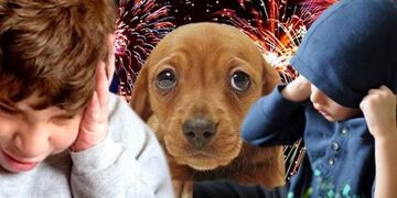 La Cámara de Diputados se sumó a la campaña para no usar pirotecnia