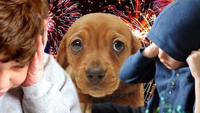 La Cámara de Diputados se sumó a la campaña para no usar pirotecnia