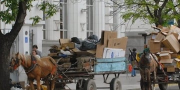 Se conocerá en pocos días la resolución de la consulta popular por la Tracción a sangre\u002E (Web)\u002E