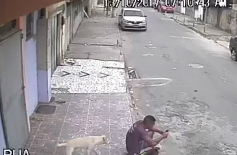 Video para el feriado: cuando no estás teniendo un día muy intenso, te puede pasar esto