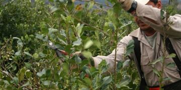 Peterson proyecta obra social para productores