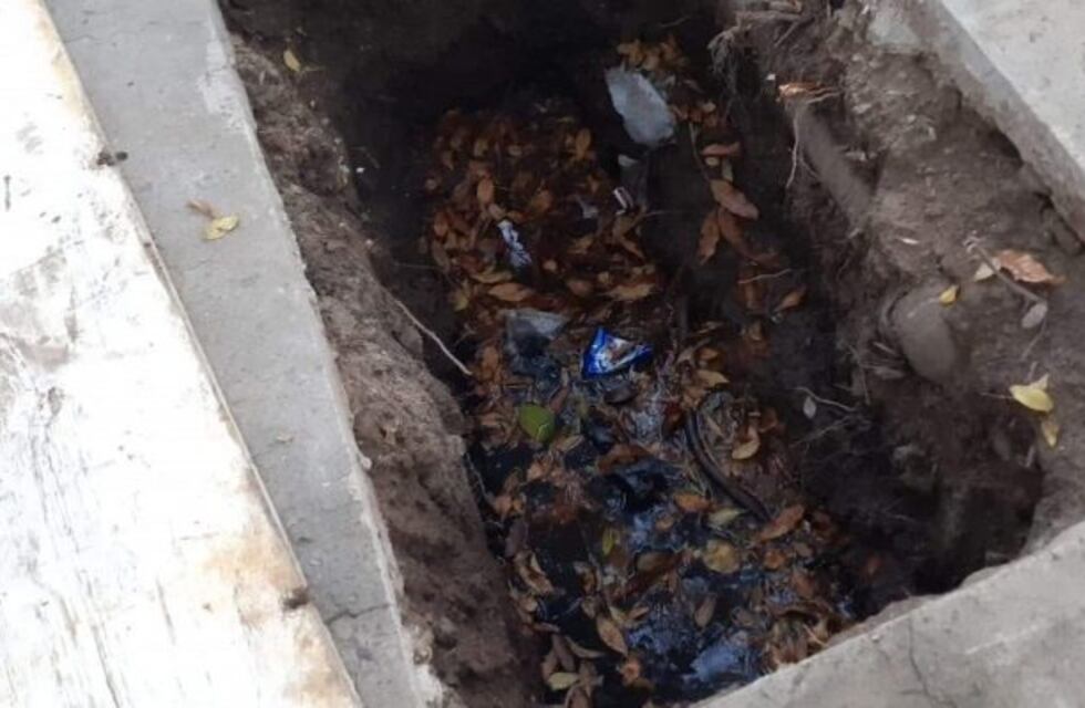 A pedir del mosquito del dengue: Assa no repara cloacas y deja agua estancada