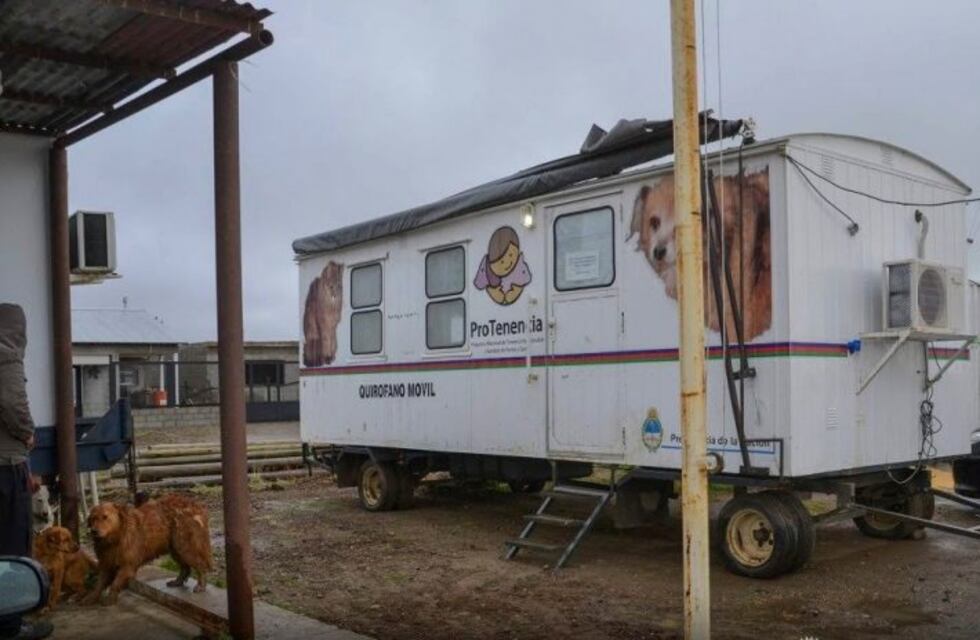 Rio Gallegos: se realizaron más de 200 castraciones de mascotas
