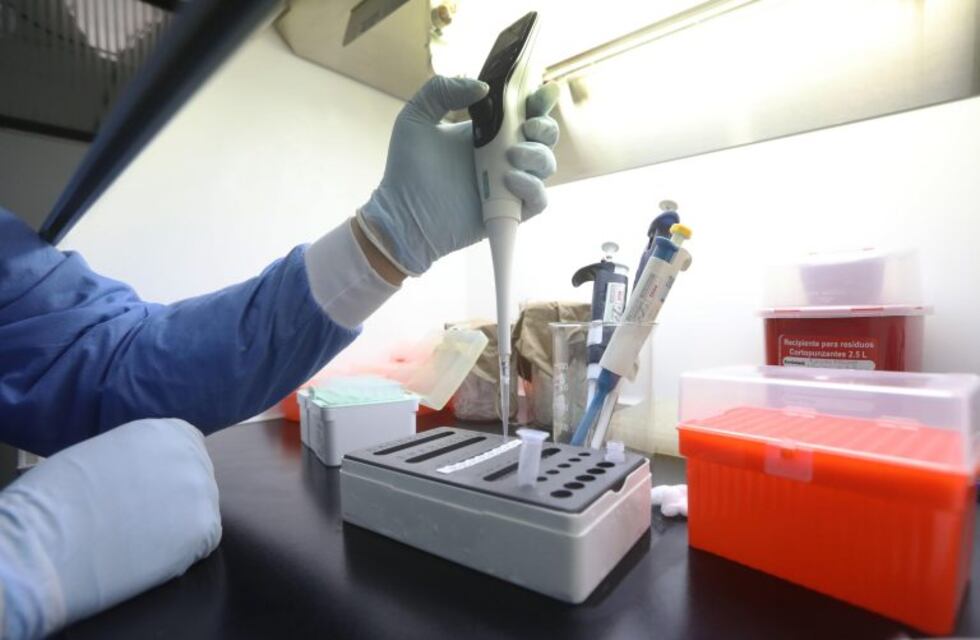 Por cuarto día consecutivo, Tucumán no presenta casos nuevos de Covid-19