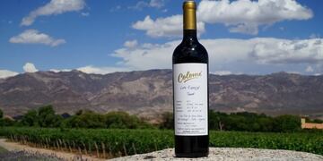 Bodega Colomé