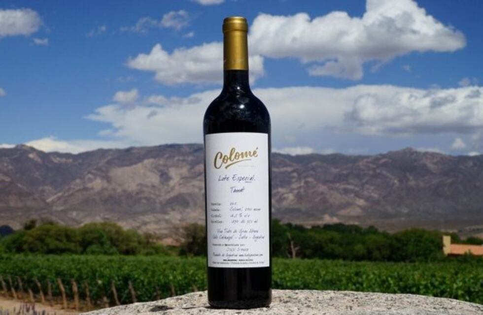 Precio y características: todo lo que tenés que saber del vino argentino que está entre los mejores 5 del mundo