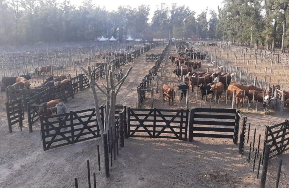 Arranca la edición XIII de la Expobra 2019