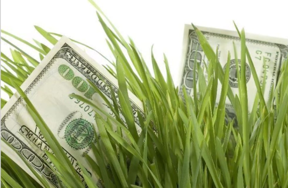 El “dólar agro” no arrancó y el BCRA vendió U$S 99 millones