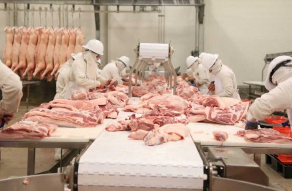 2° encuentro de capacitación de"Ciclo de formación en producción porcina sustentable"