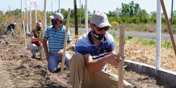 Forestación predio ferial