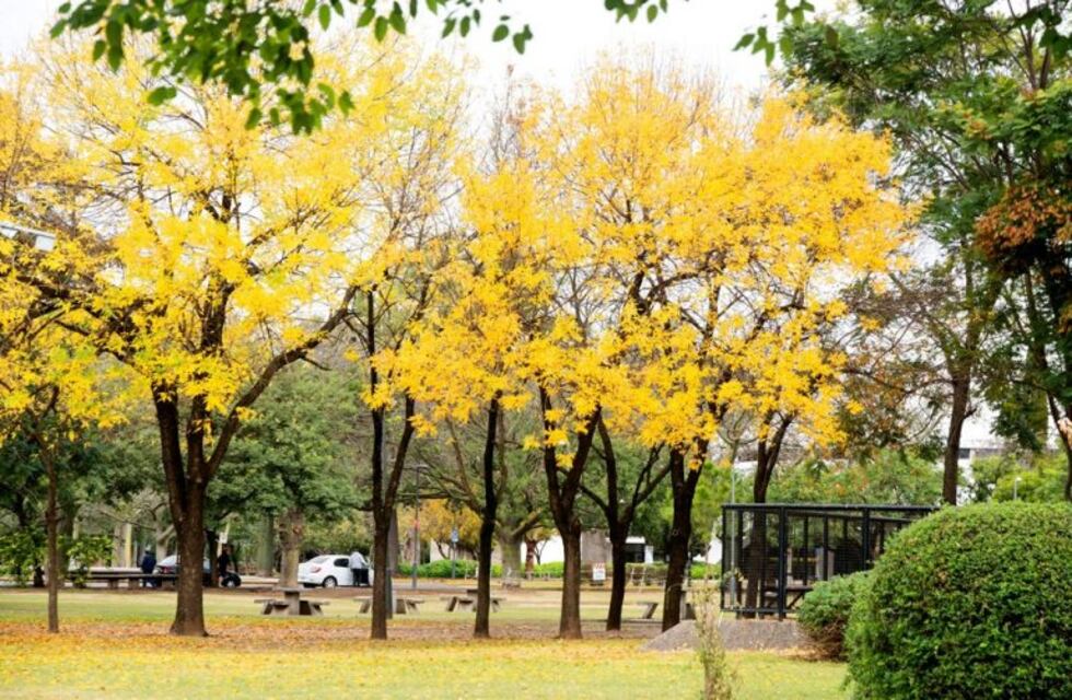 Quedó preso el acusado de matar a un policía de civil en el Parque Urquiza