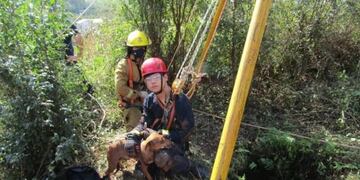 Un perro estuvo una semana adentro de un pozo en Oberá, y fue rescatado por los bomberos