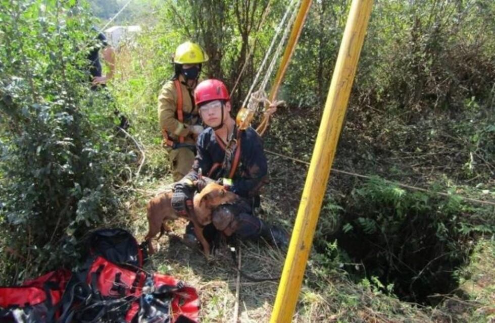 Un perro estuvo una semana adentro de un pozo en Oberá, y fue rescatado por los bomberos