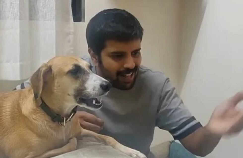 El video de una perra cantando con su dueño que se hizo viral