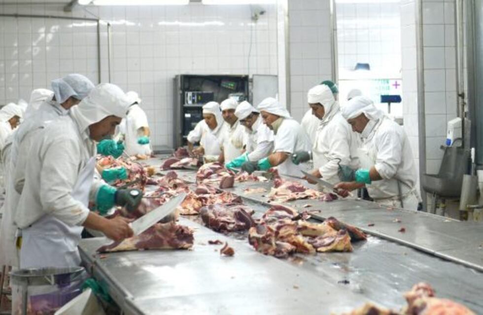 Industria frigorífica: aumentó 12,2% la faena de hacienda en julio