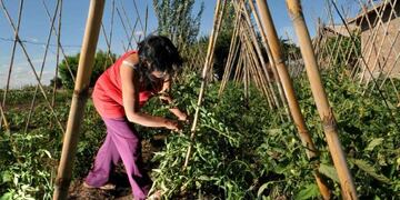 Espacio continental de mujeres del campo