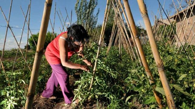 Espacio continental de mujeres del campo