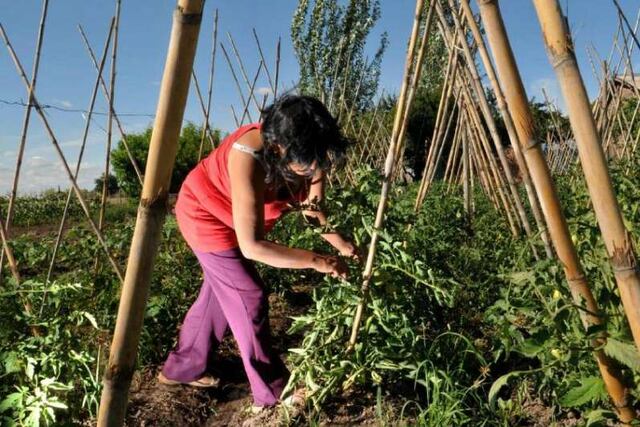Espacio continental de mujeres del campo