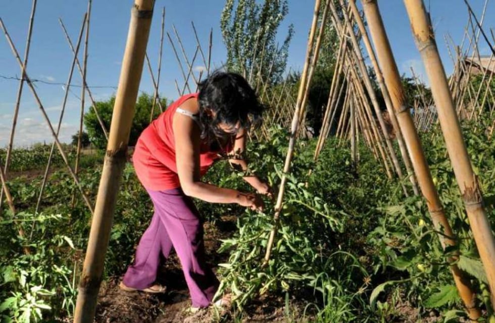 El creciente rol de la mujer en el campo