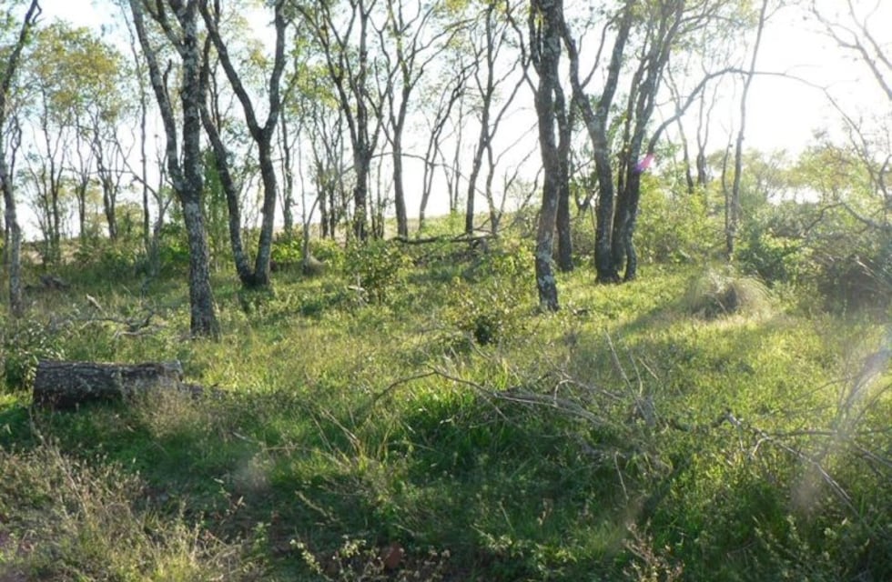 Los guardaparques de Misiones se oponen a la transferencia de una reserva a Parques Nacionales